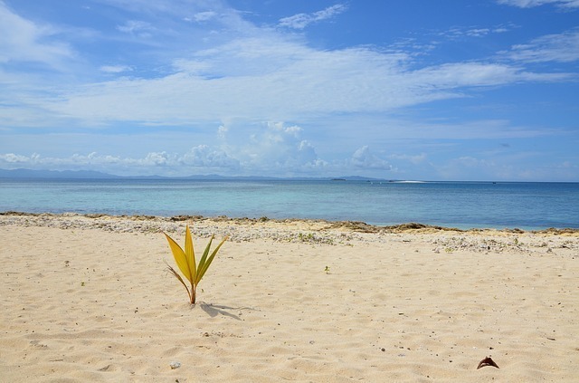 fiji-2540446_640.jpg